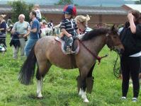 bumble at a gymkhana